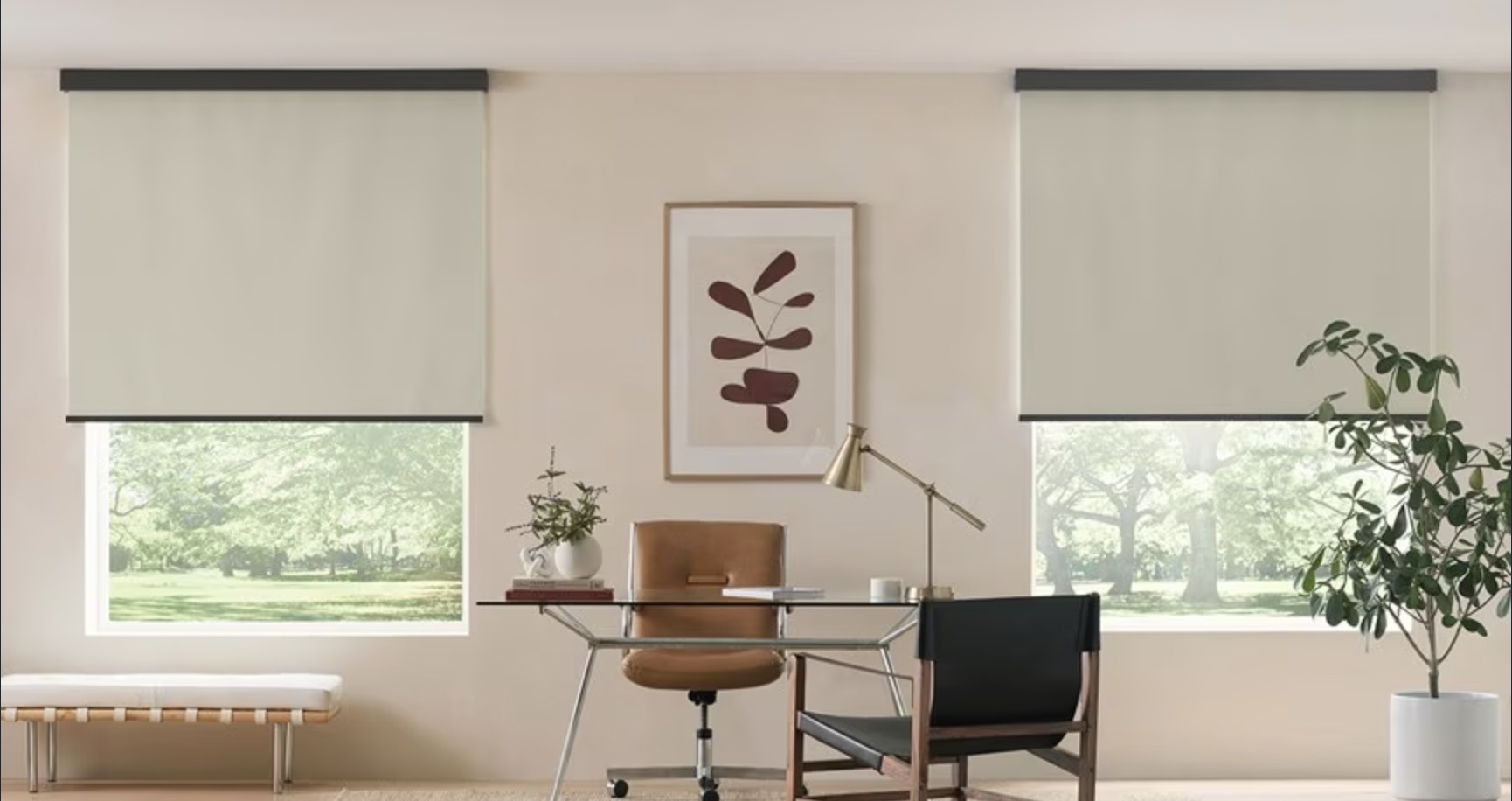 Blinds.com Premium Blackout Roller Shades