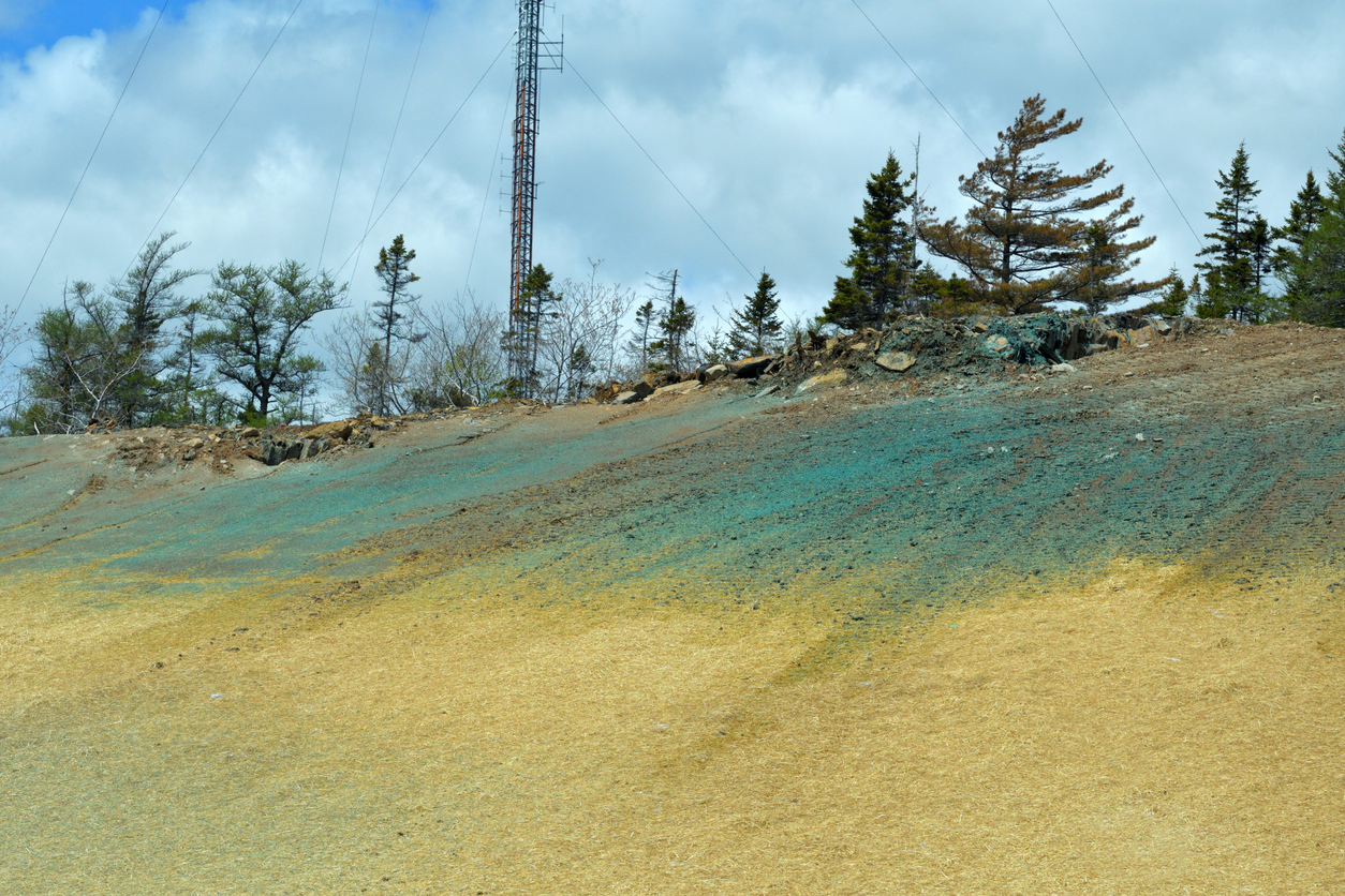 hydroseeding