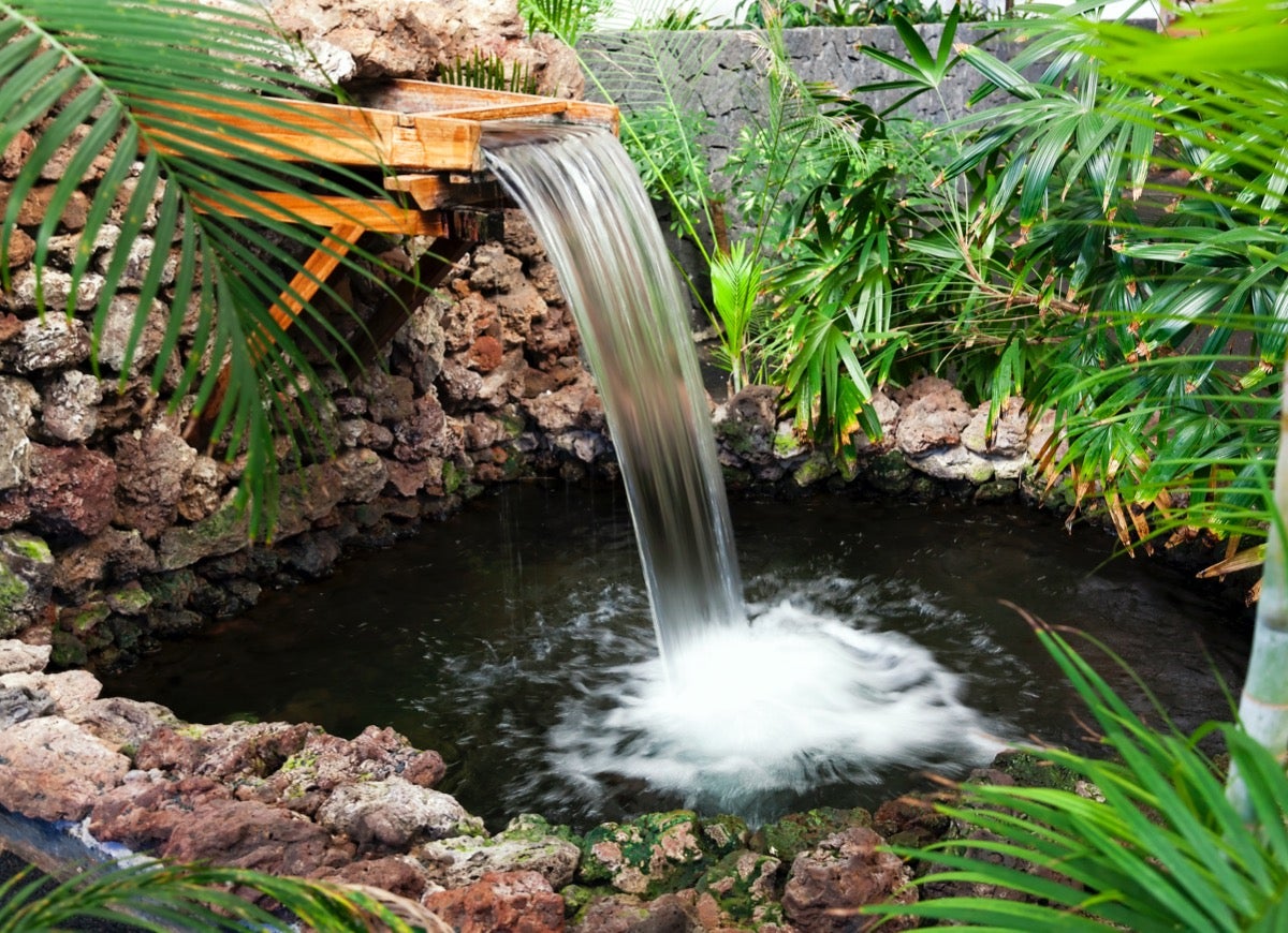 9 Relaxing Pond Waterfall Ideas for Your Backyard