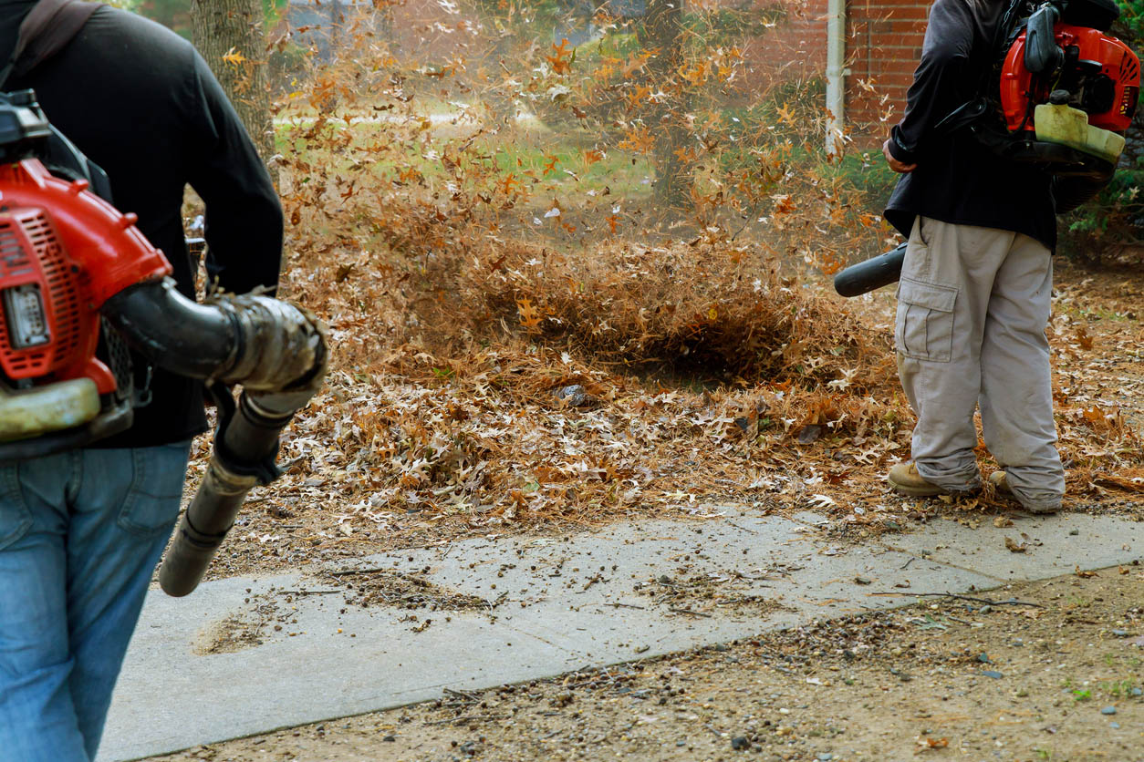 Leaf Removal Near Me