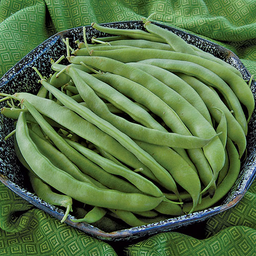 basket full of bean pods