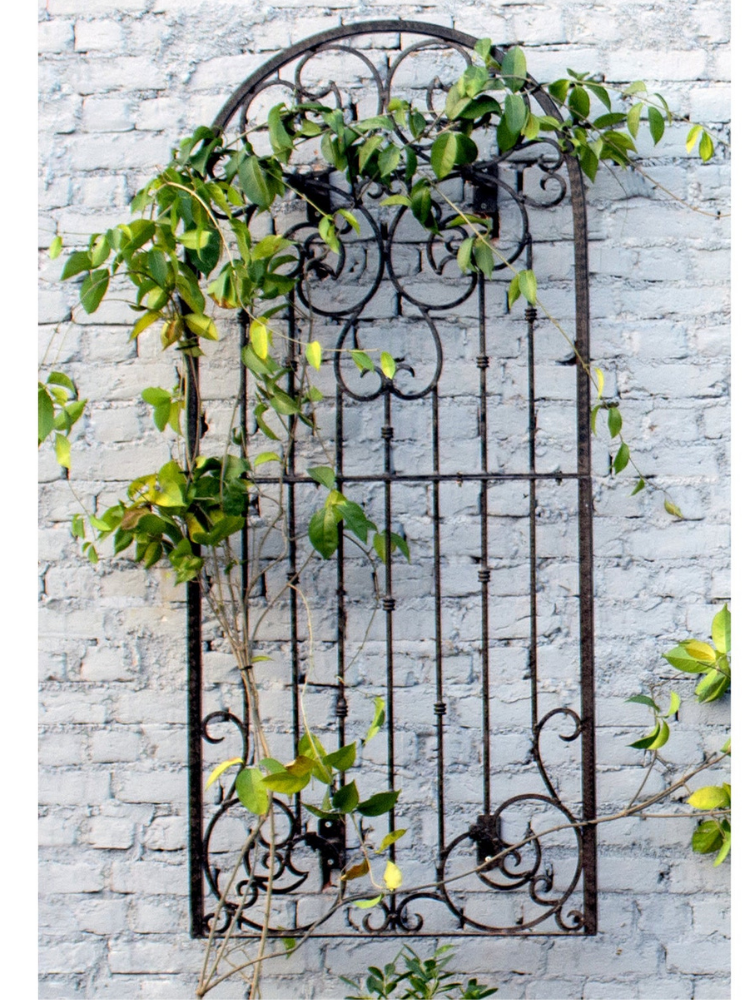 15 Beautiful and Functional Trellis Ideas for Climbing Plants