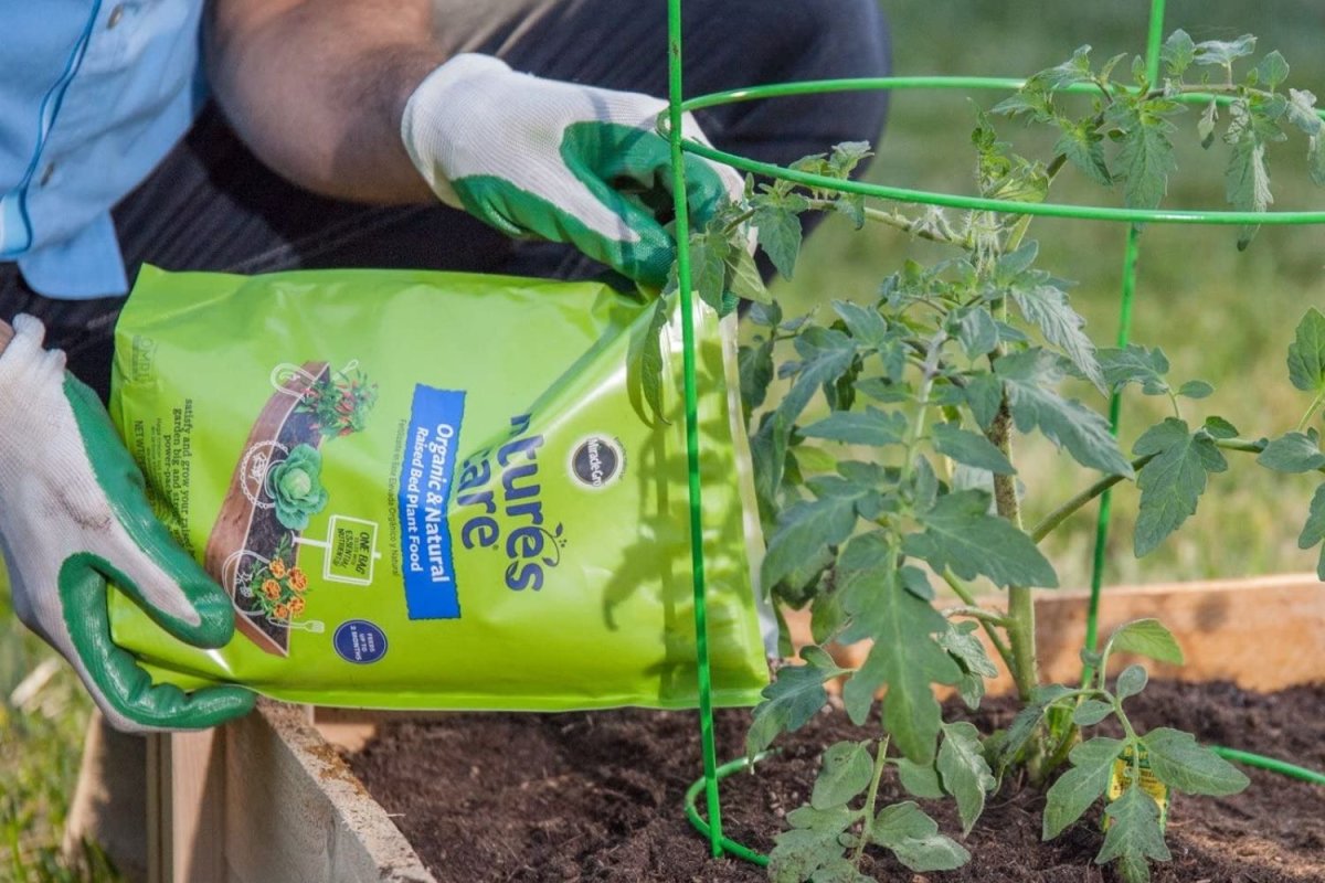 The best soil for raised beds options being poured into a raised bed