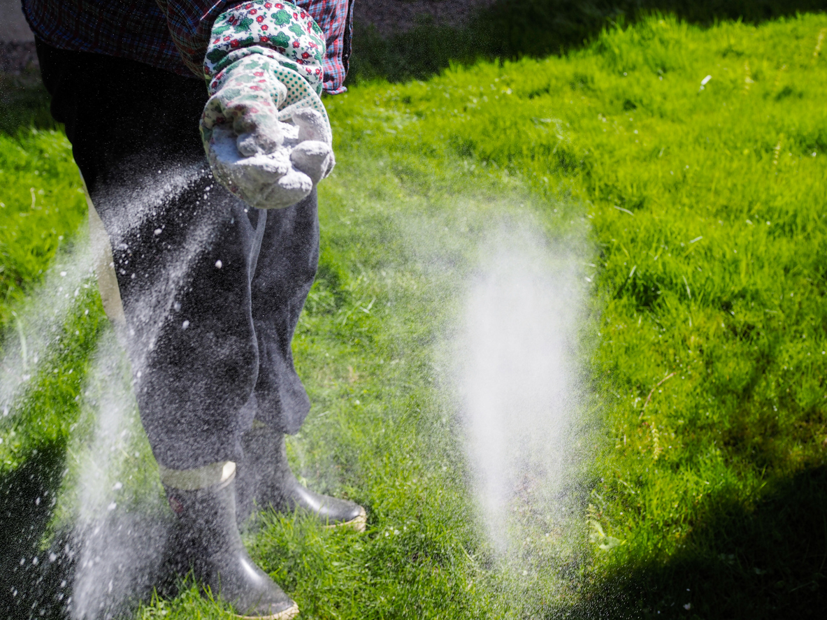 Woman spreading baking soda on lawn