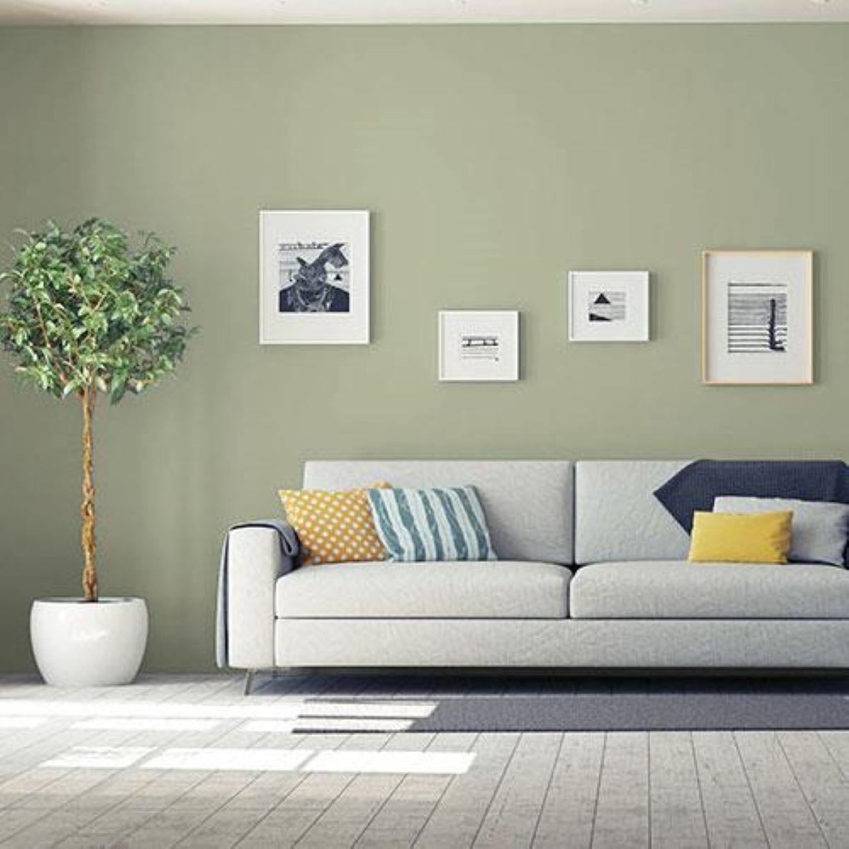 Combinaisons de couleurs pour les murs et les bordures - olive wall color