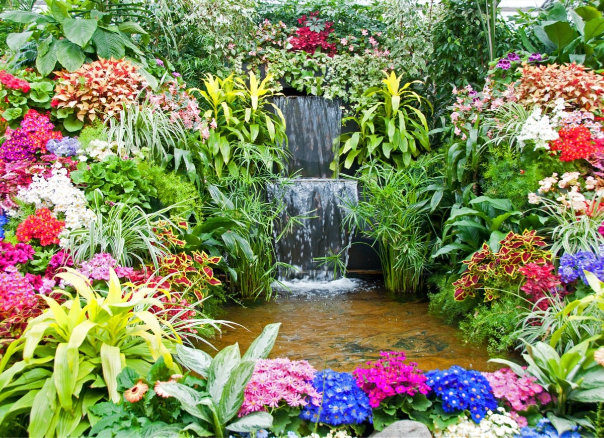 9 Relaxing Pond Waterfall Ideas for Your Backyard