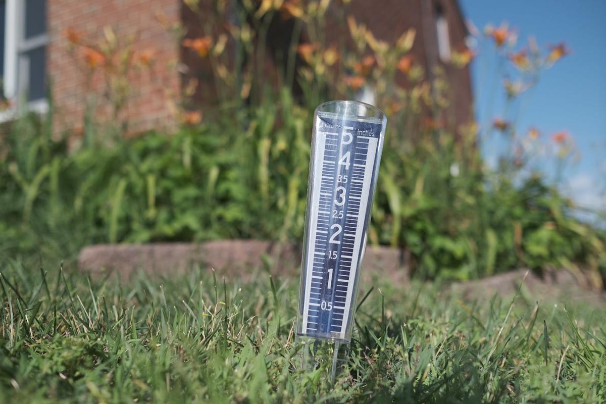 Closeup of a rain gauge in a patch of grass