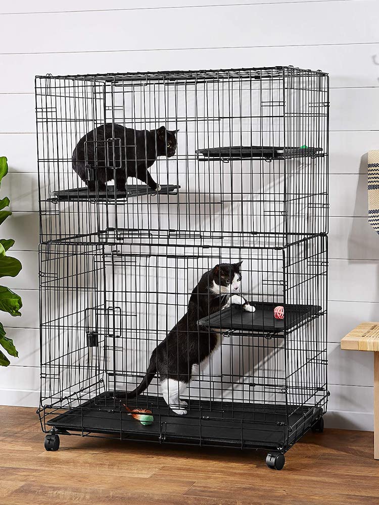 9 Catio Ideas Your Feline Friends will Love