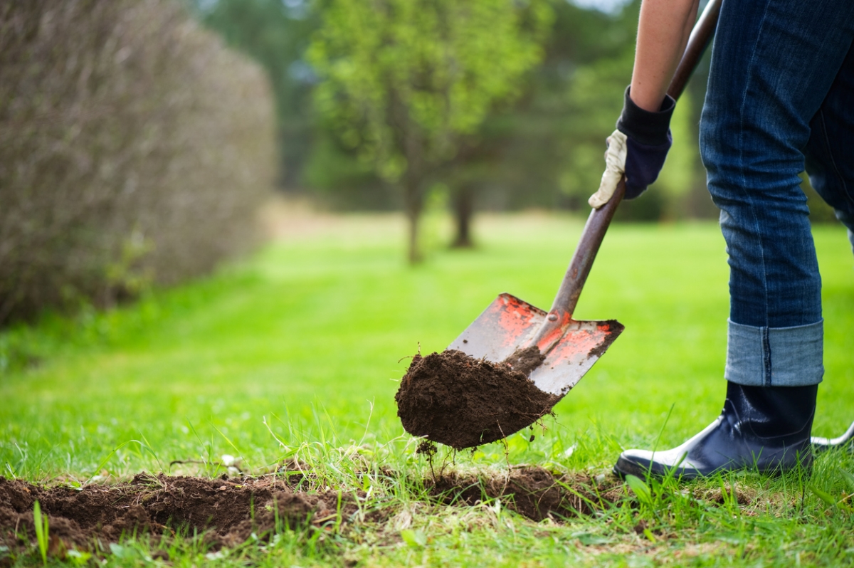 Filling hole with dirt