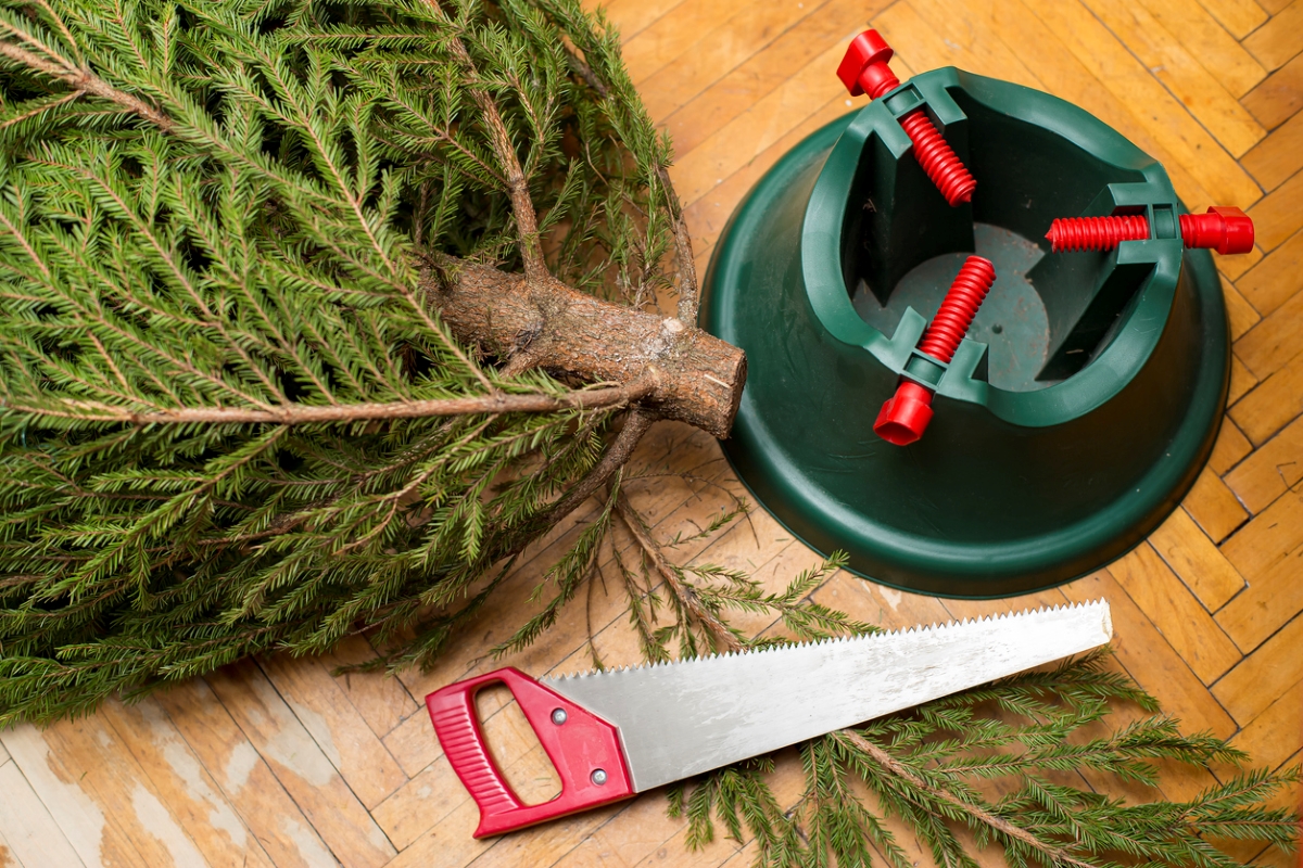 how long does a christmas tree last - christmas tree base saw