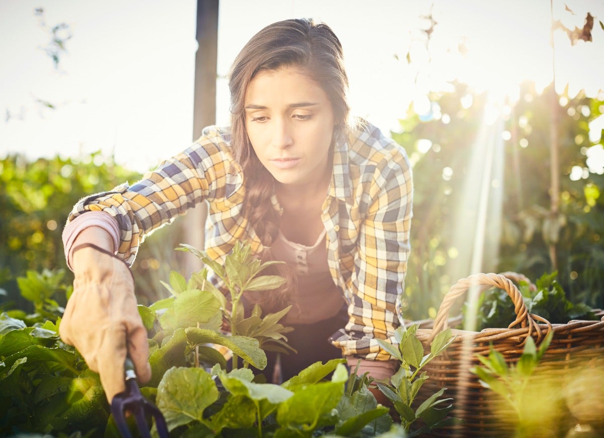 8 Important Things Your Garden is Trying to Tell You