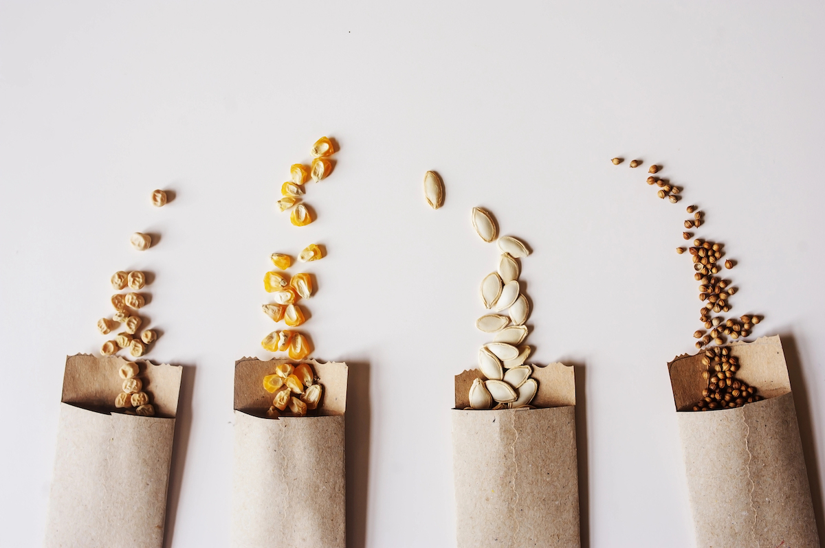 Four packs of vegetable seeds in craft paper envelope, lined up side by side, with seeds spilling out.