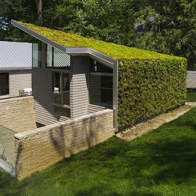 Trending Now:  Green Roofs