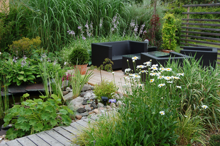 jardin-de-poche-plantes-indigènes-jardin-design-moderne-avec-mobilier-noir.