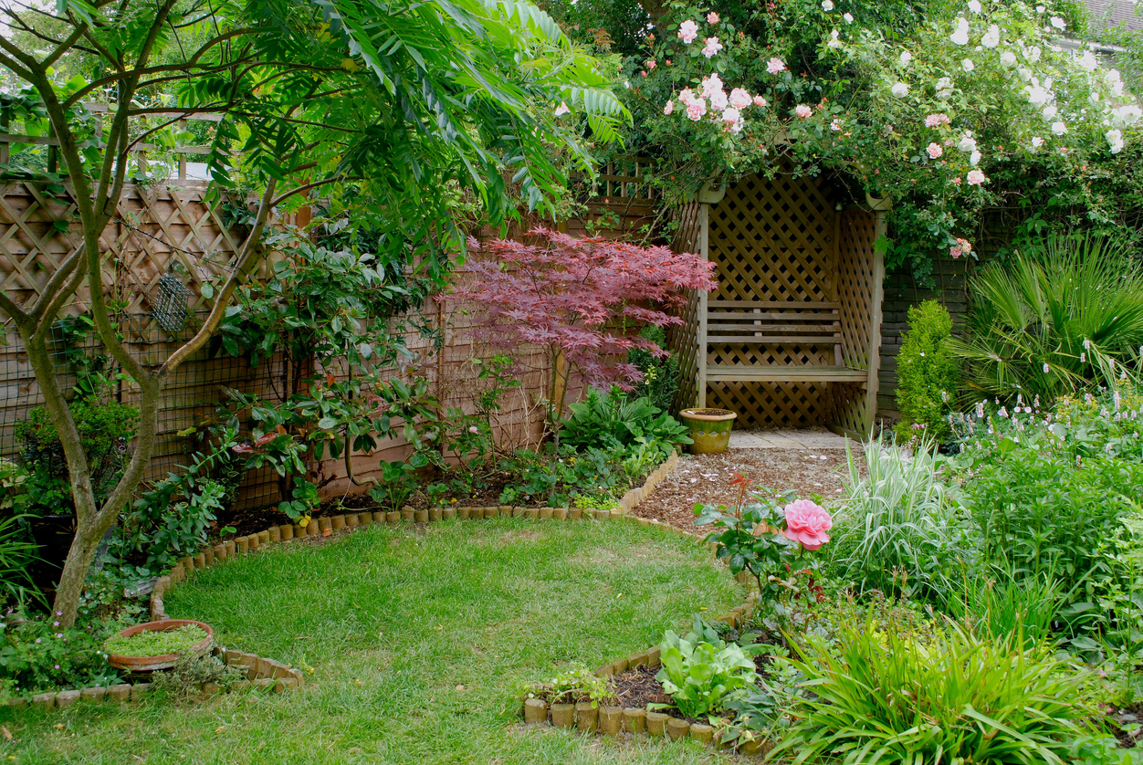 Secluded garden bench tucked in lush landscaping.