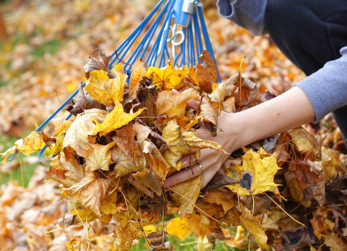 40 Tasks All Homeowners Should Finish Before the First Frost