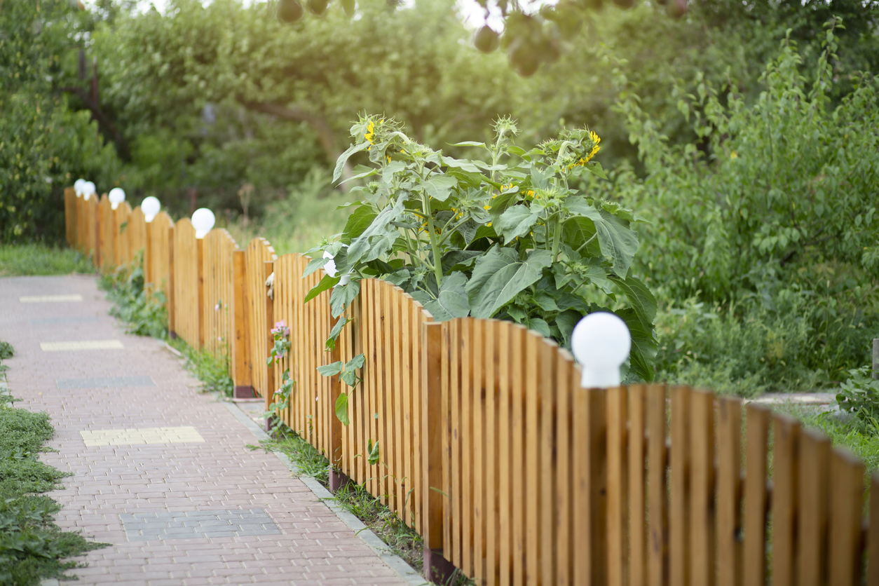 chain link vs wood fence cost