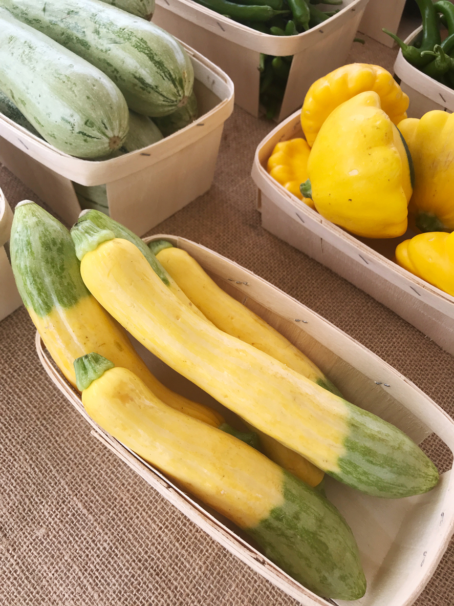 types of squash