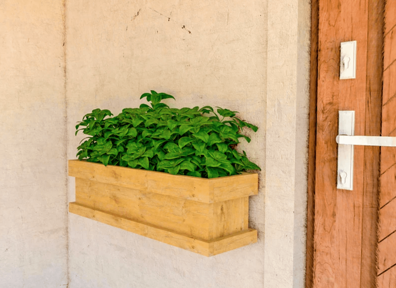 stucco exterior of house with small planter box mounted next to front door