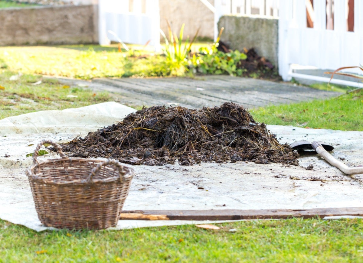 8 astuces pour composter rapidement et obtenir de l'engrais gratuit