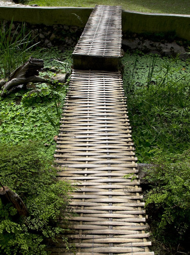 The Right Path: 15 Wonderful Walkway Designs