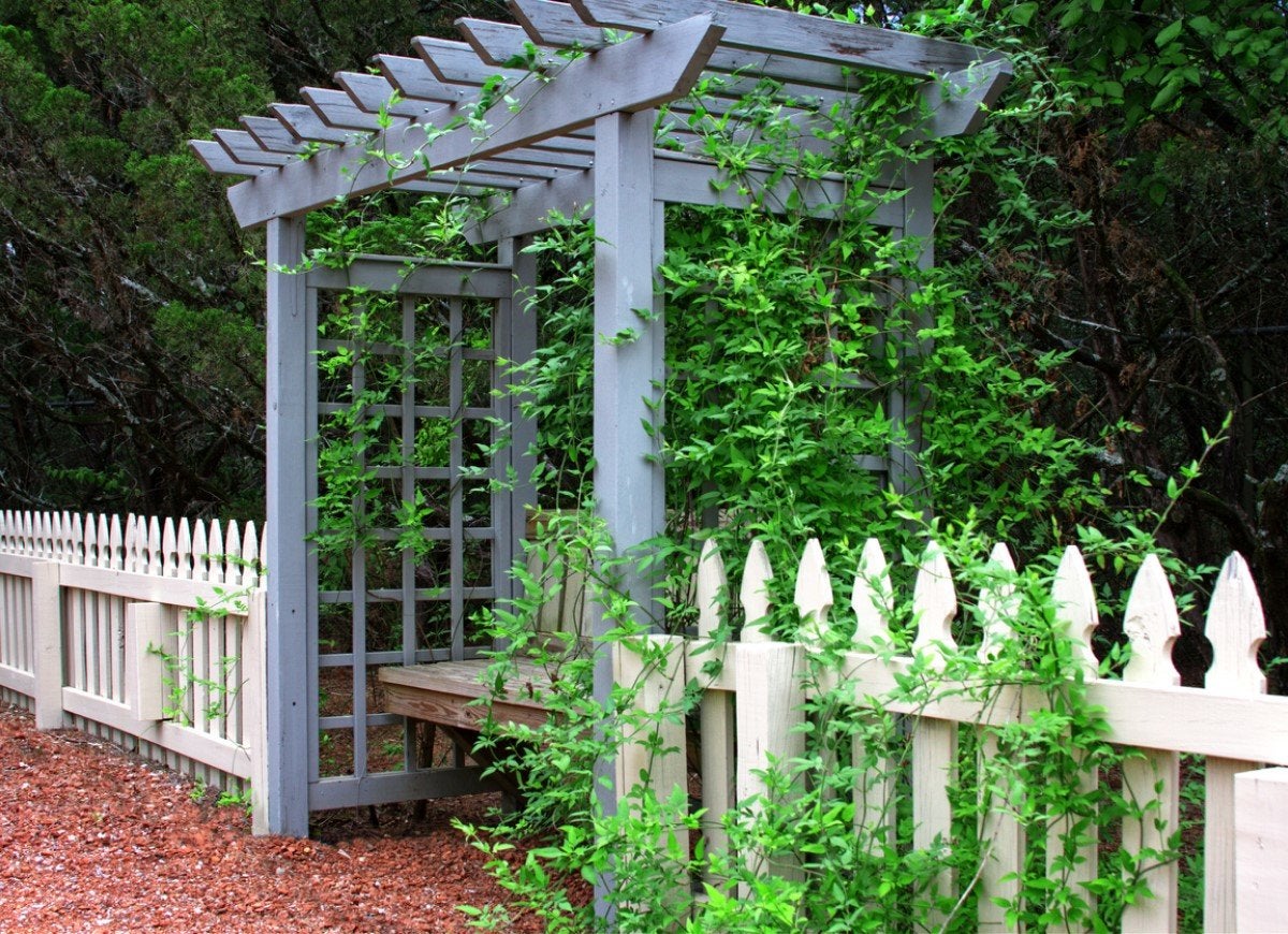 13 Beautiful Ways to Style a Backyard Pergola