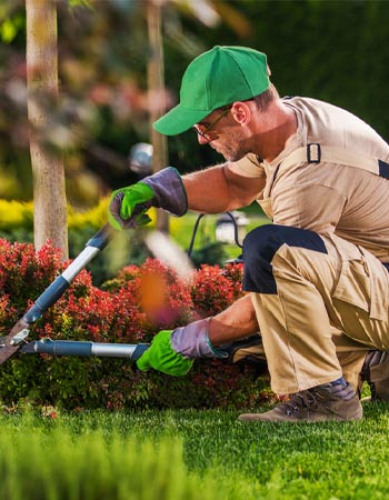 How to Become a Landscaper