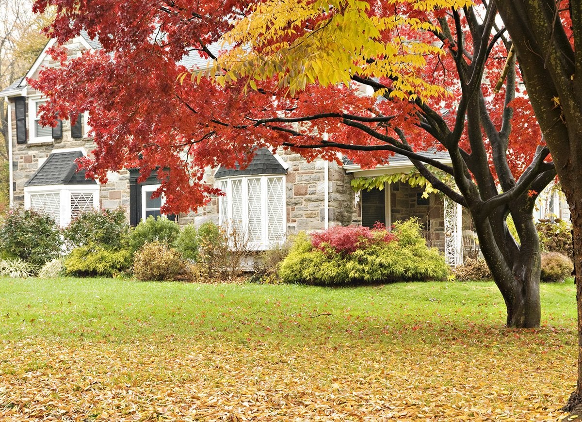 The Do’s and Don’ts of Cleaning Up Leaves