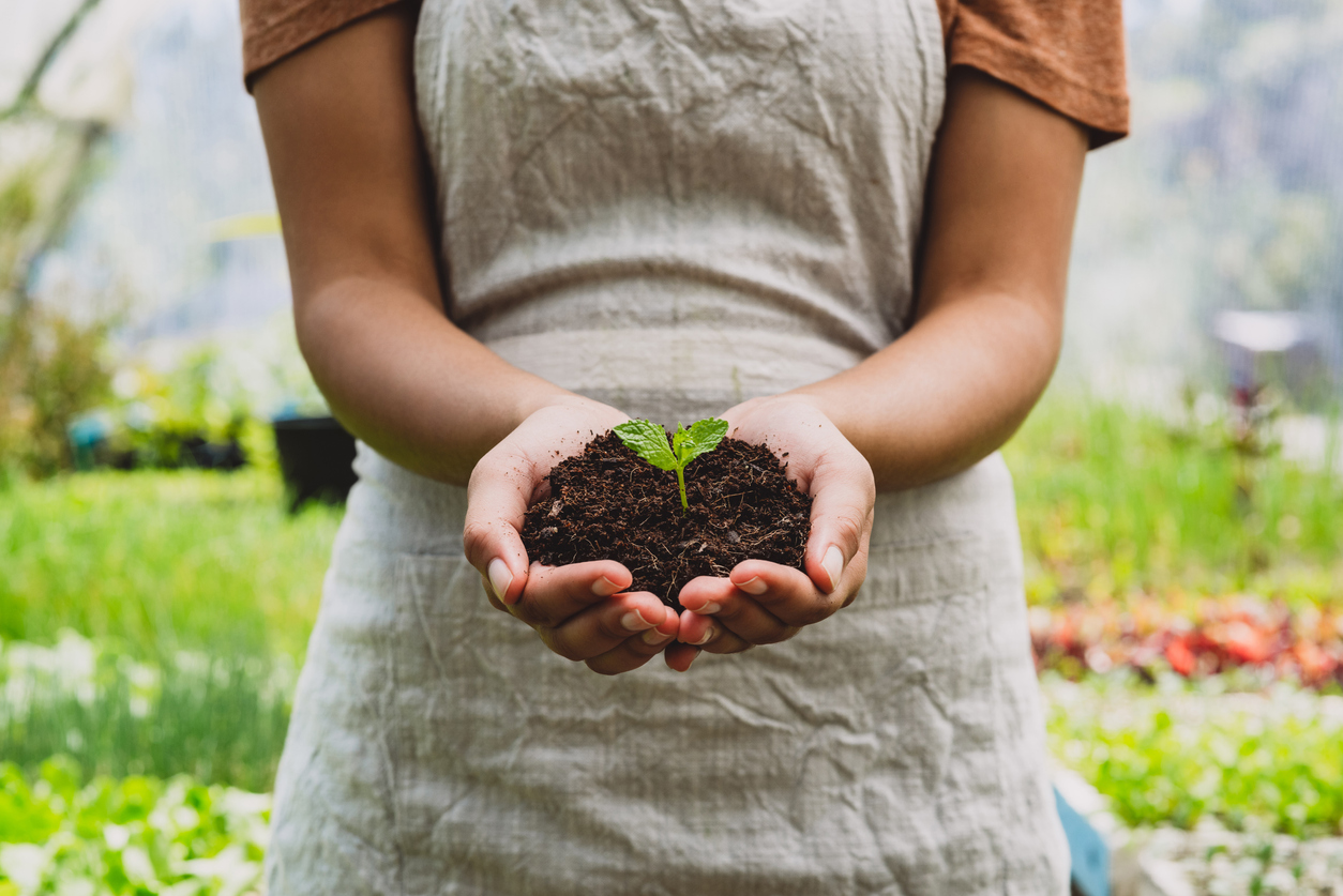 What Kind of Gardener Are You?