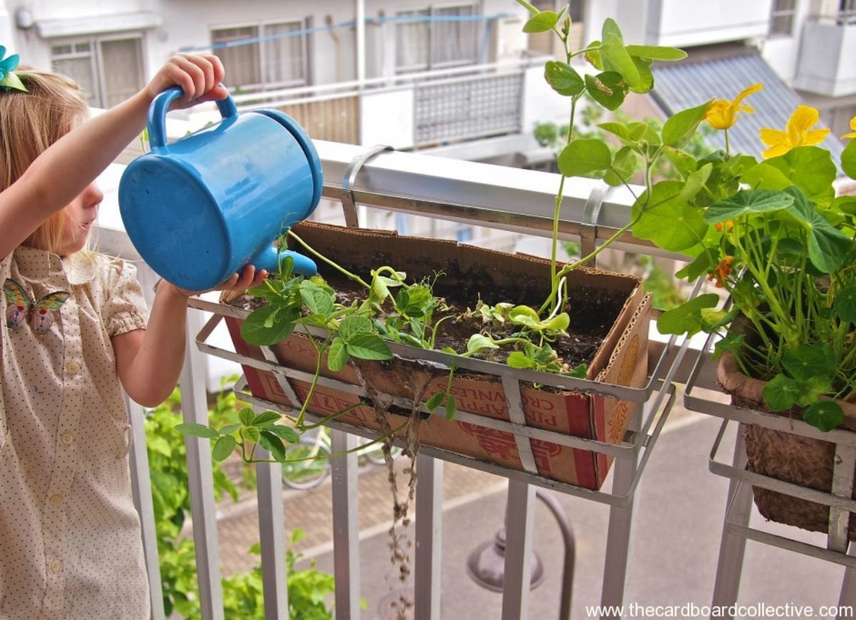 18 New Uses for Old Shoeboxes