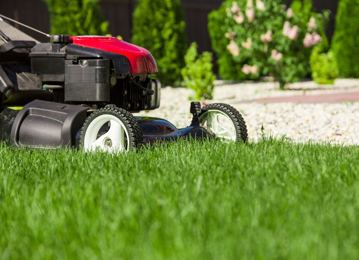 The Best Things You Can Do for Your Lawn