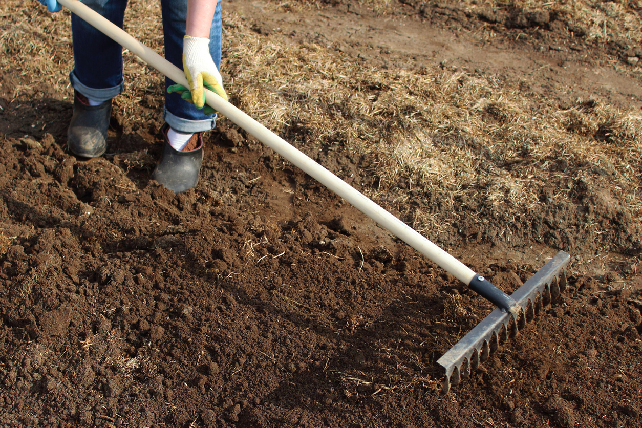 iStock-1364640949 must dos march A woman is leveling the ground with a rake in the garden