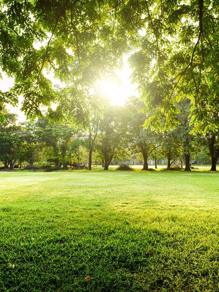 Why Do We Clean in the Spring?