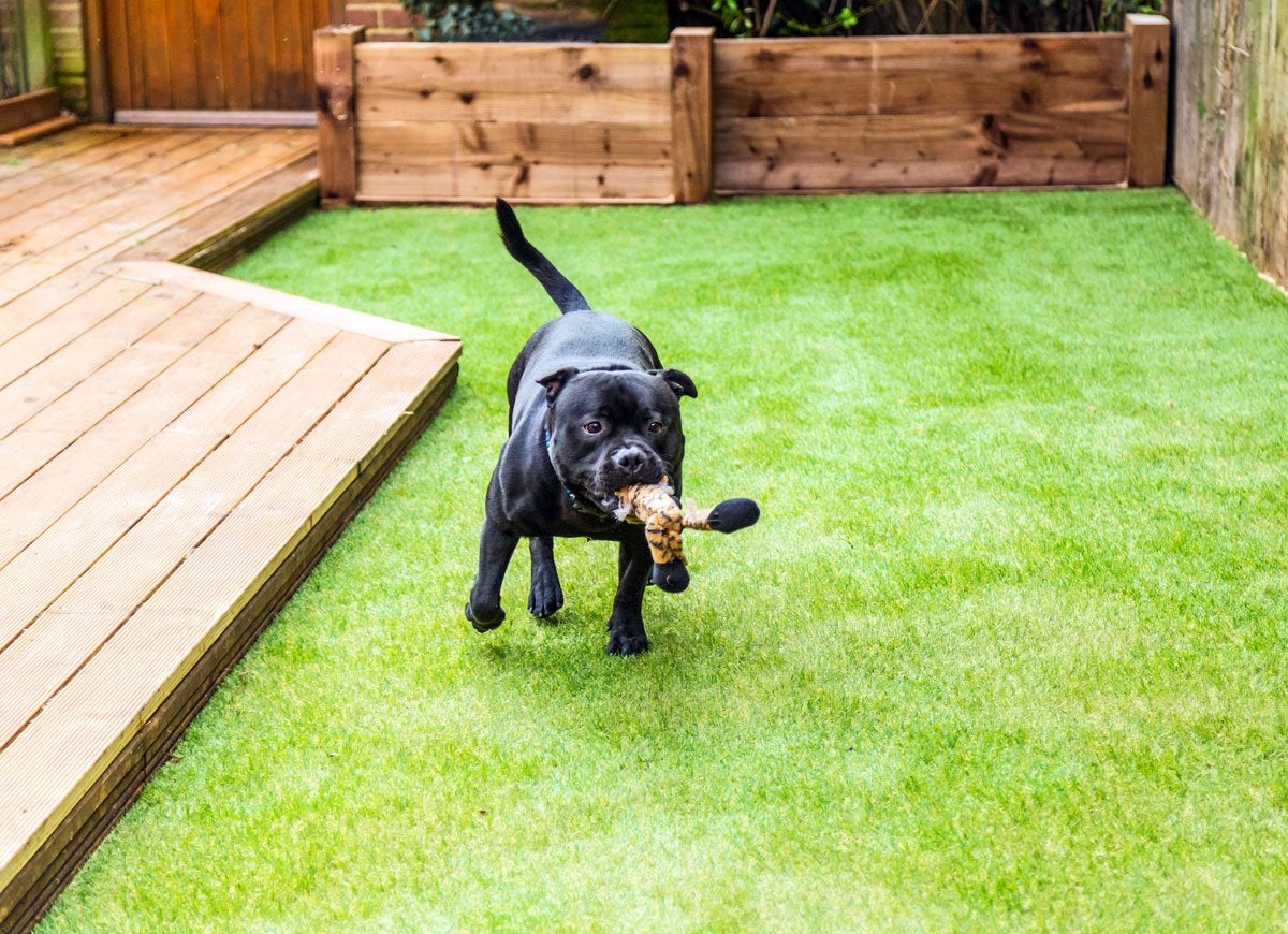 9 Clever Landscaping Hacks for Your Best-Ever Yard