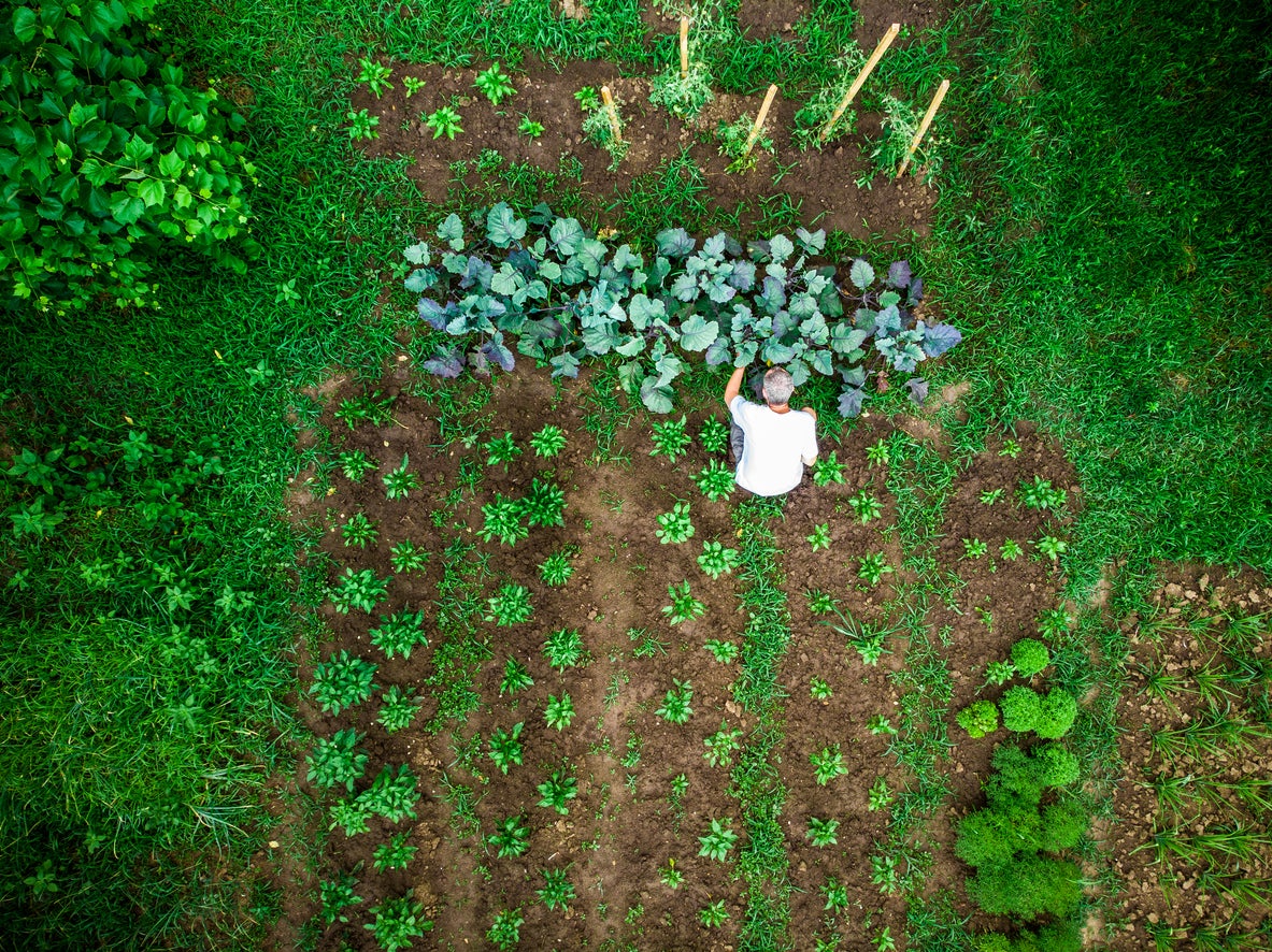 10 In-Season Gardening Chores You Should Be Doing Every Week