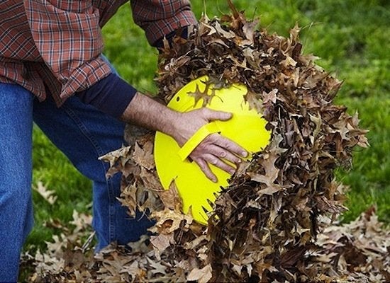 Editors’ Picks: 7 Tools to Wage War Against Leaves