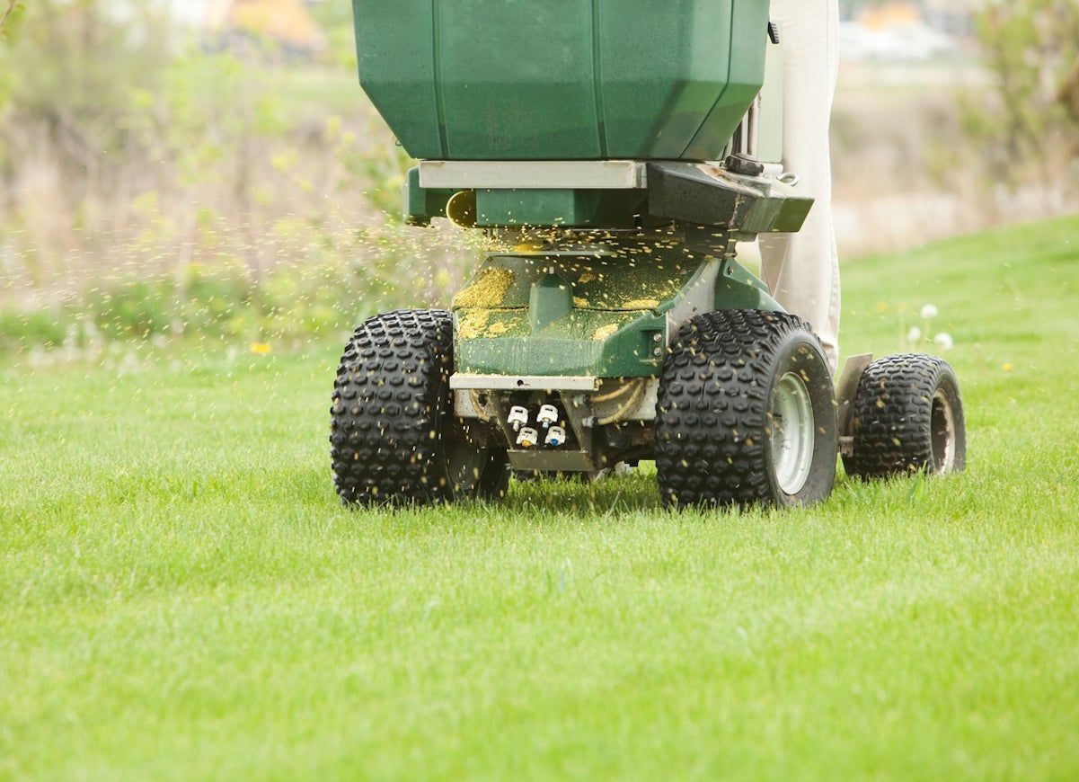 15 Things to Do in the Yard Before the First Frost