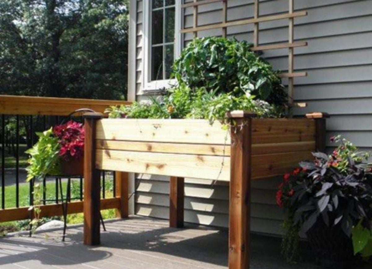 13 Ideas for a Vegetable Garden With Serious Curb Appeal