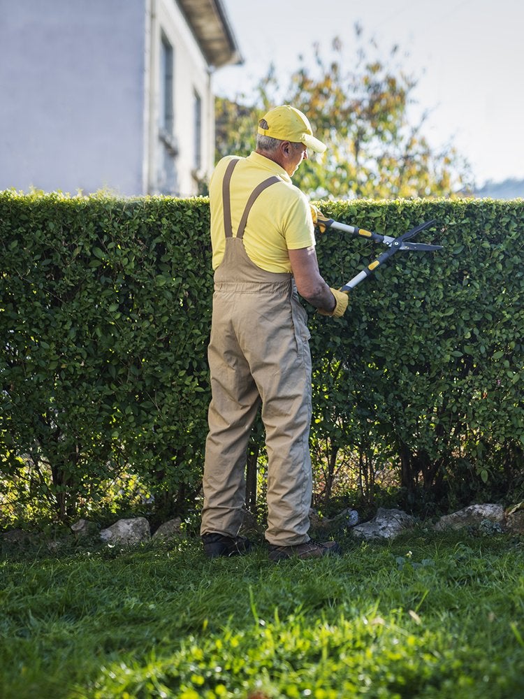 9 Pros Every Homeowner Needs to Keep on Speed Dial