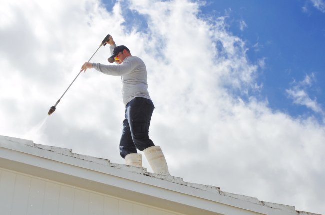 Roof Cleaning Costs