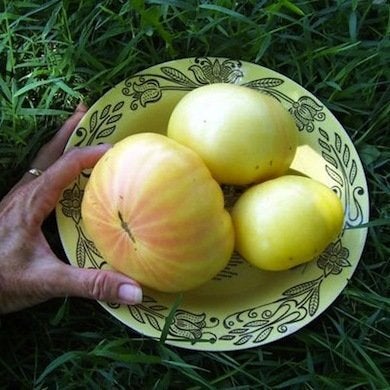 Ripe for the Picking: 10 Full-Bodied, Full-Flavored Heirloom Tomatoes