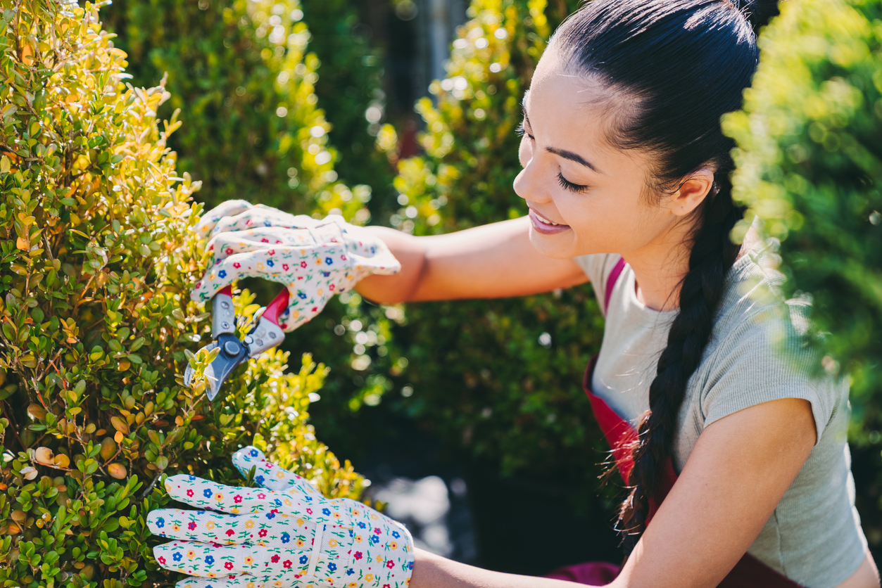 best time to trim trees