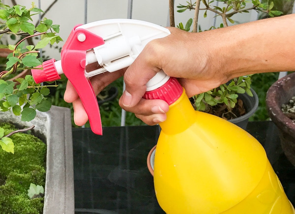 12 Things to Toss ASAP When You Clean Out Your Garage