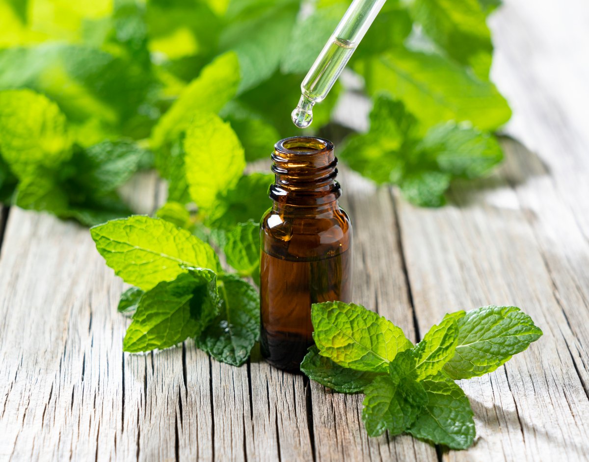 Une pipette fait couler des gouttes d'huile de menthe poivrée d'un flacon entouré de feuilles de menthe.