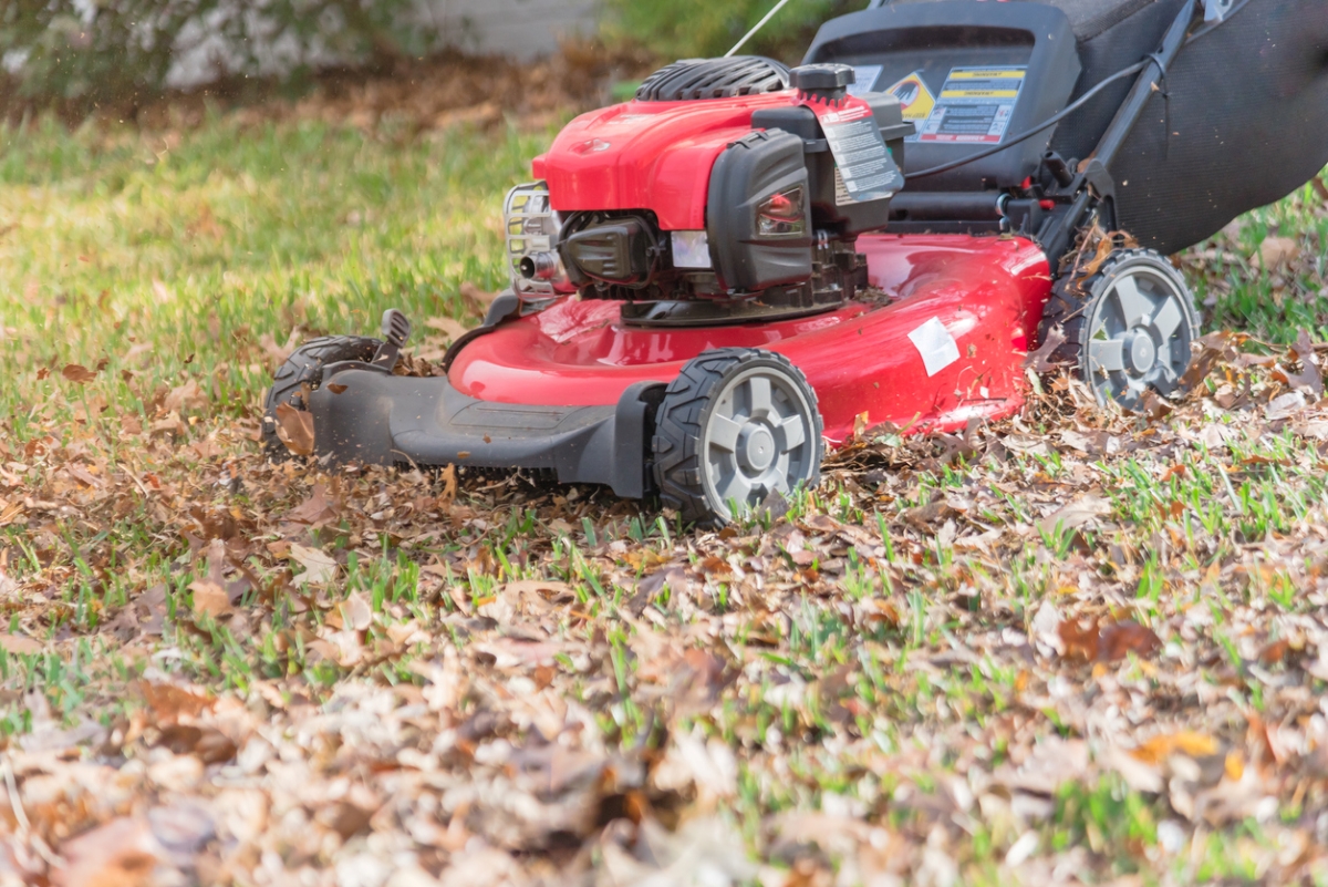 Utilisation de la tondeuse à gazon pour broyer les feuilles