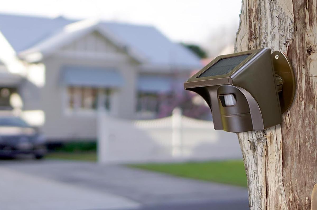 Gros plan d'une alarme d'allée attachée à un arbre. 