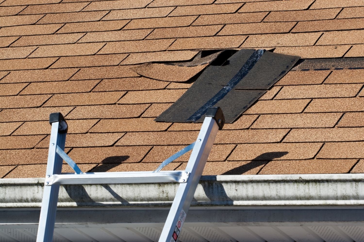 Roof Repair Cost