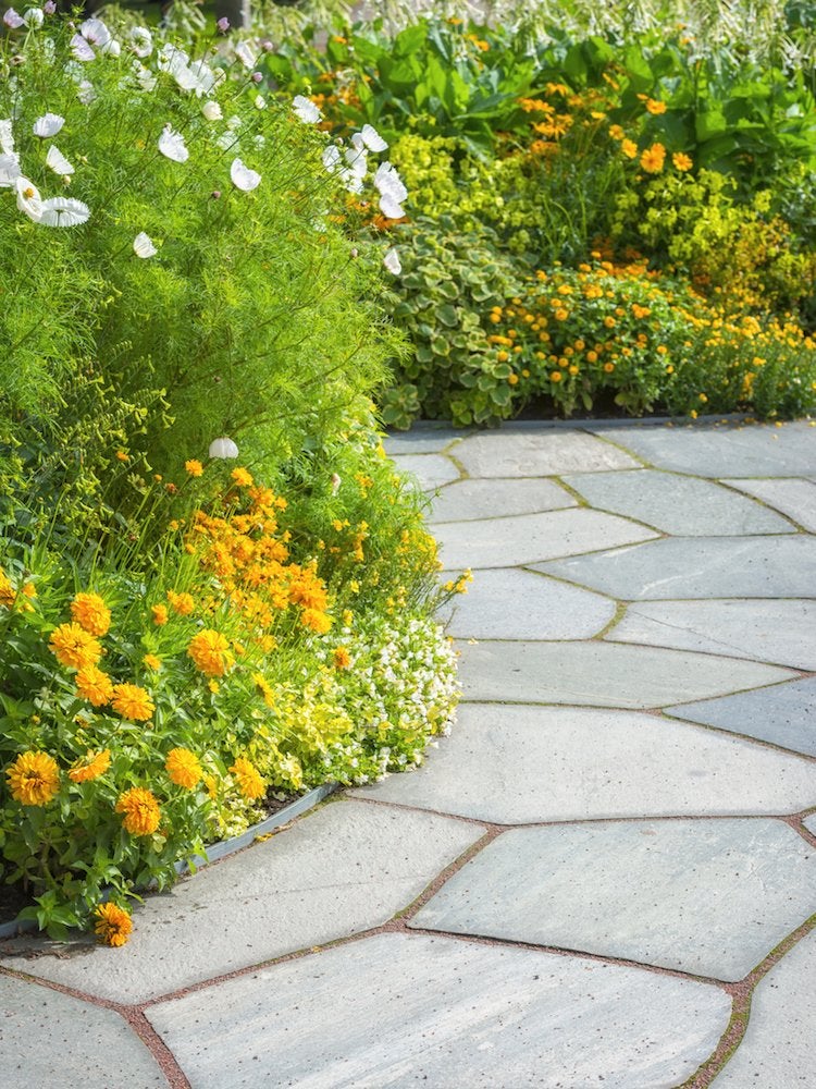 Keep Ticks at Bay with 9 Smart Landscaping Tips