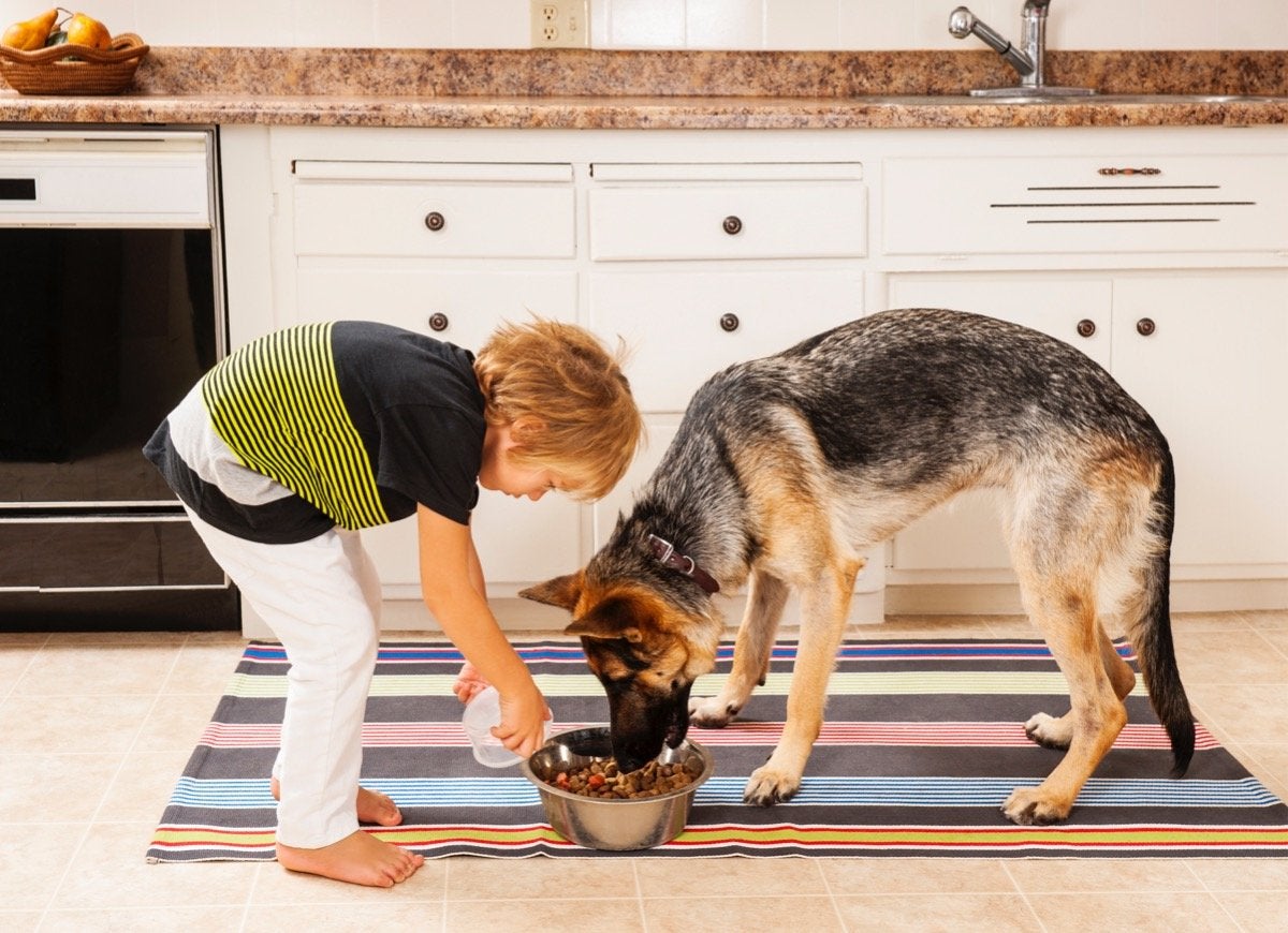 25 of the Best Household Chores for Kids of Every Age