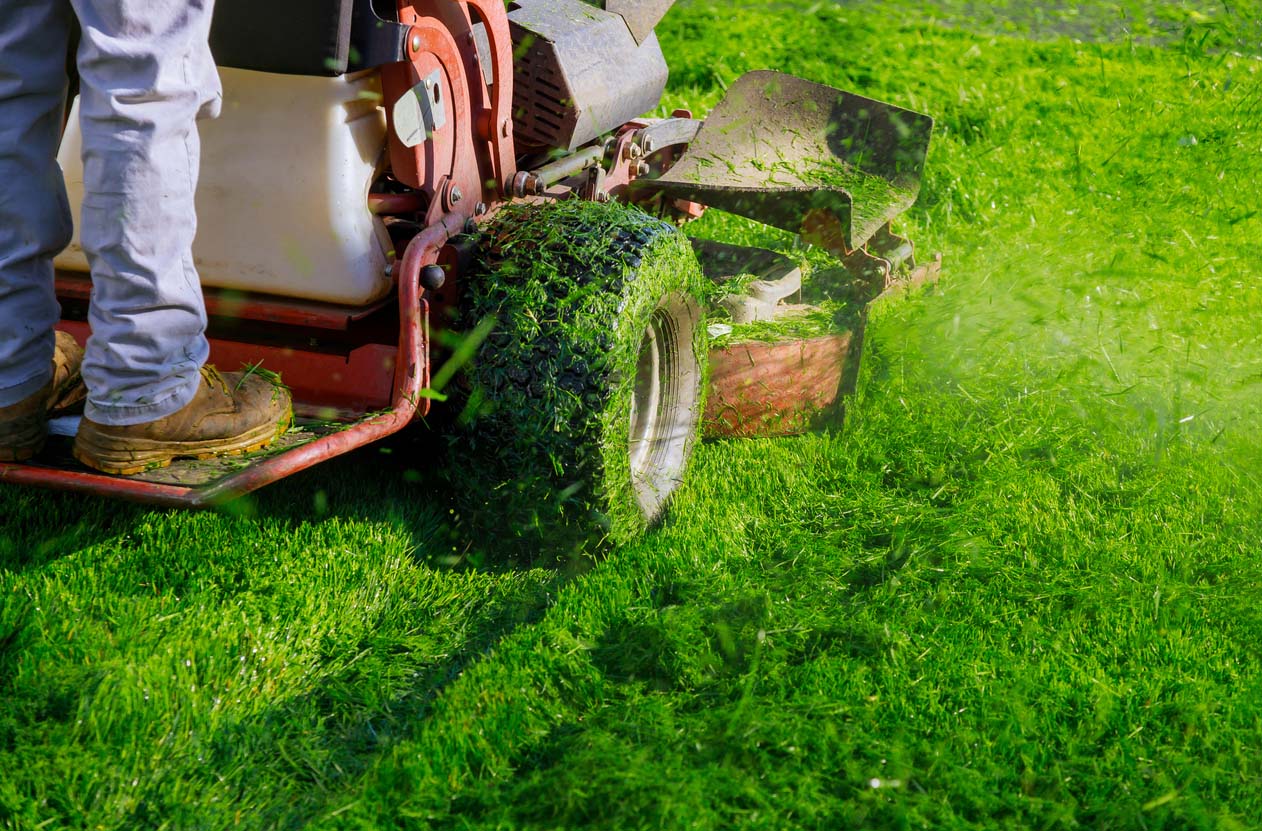 Lawn Doctor contre TruGreen